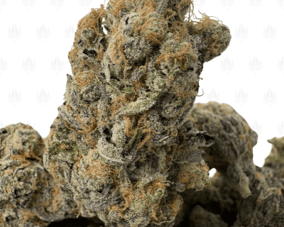 Platinum Kush Breath-B