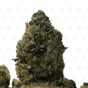 PRE-98 MASTER KUSH (BIGS) - TRIP GAS