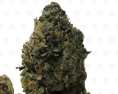 PRE-98 MASTER KUSH (BIGS) - TRIP GAS