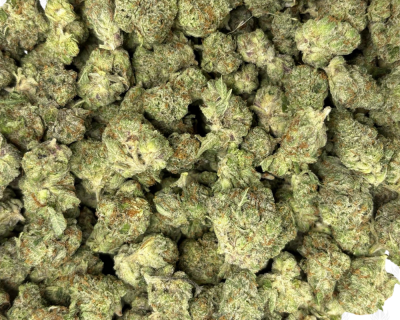 PRE-98 MASTER KUSH (SMALLS) - TRIP GAS - Image 3