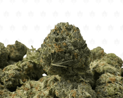 PRE-98 MASTER KUSH (SMALLS) - TRIP GAS
