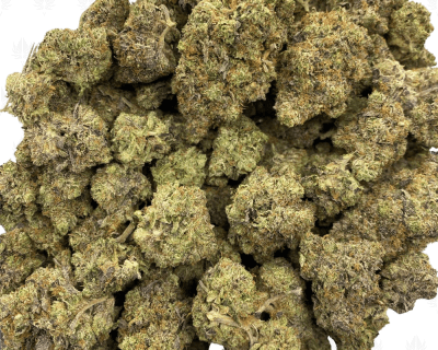 President Pink-UG (3)