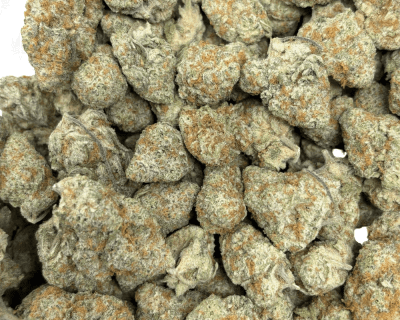 ZOOKIES (BIGS) - TRIP EXOTICS - Image 3