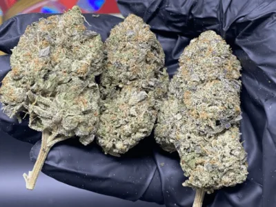 Pink Strain
