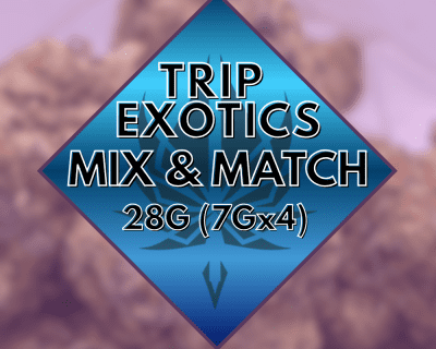 28G TRIP EXOTICS MIX & MATCH(7GX4)