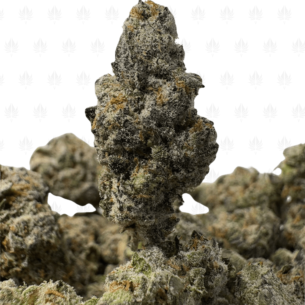 Candy Jar-S (3) Candy Jar-S (3)