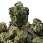 DJ Short Blueberry (3)