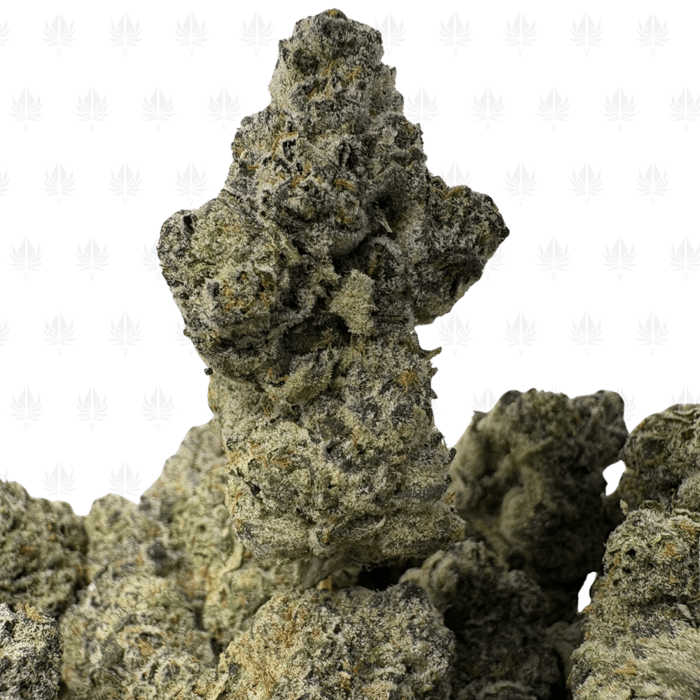 Dosi Punch-B (3) Dosi Punch-B (3)