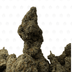 Frosted Fruit Cake LSO (3)