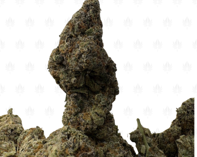 Frosted Fruit Cake LSO (3)