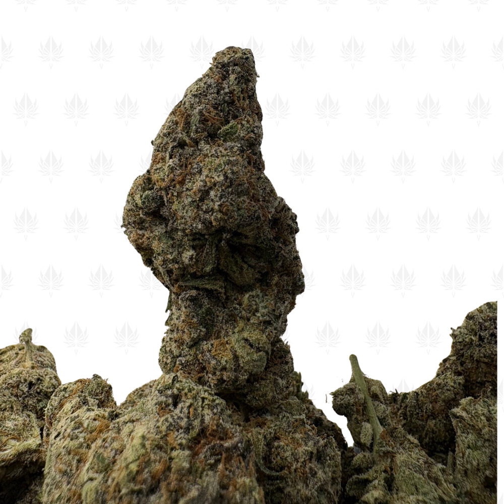 Frosted Fruit Cake LSO