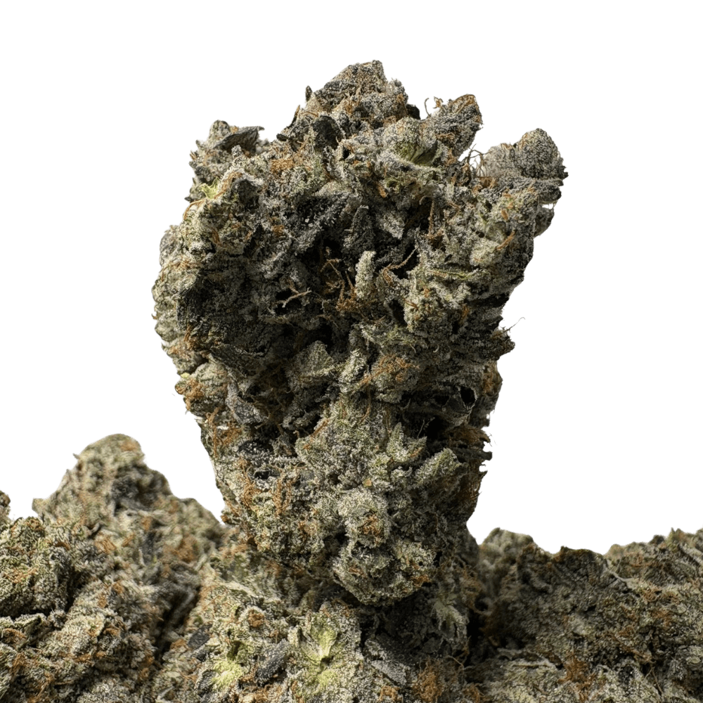 Greasy Pink (3) Greasy Pink (3)