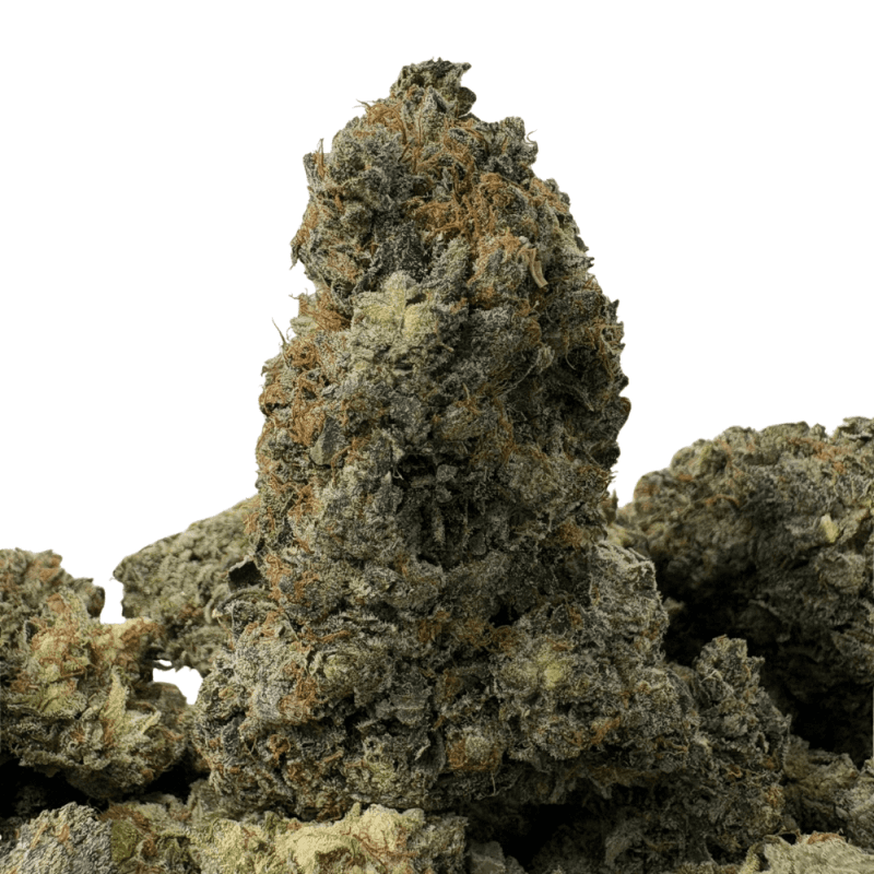 Gucci Pink-B Gucci Pink-B