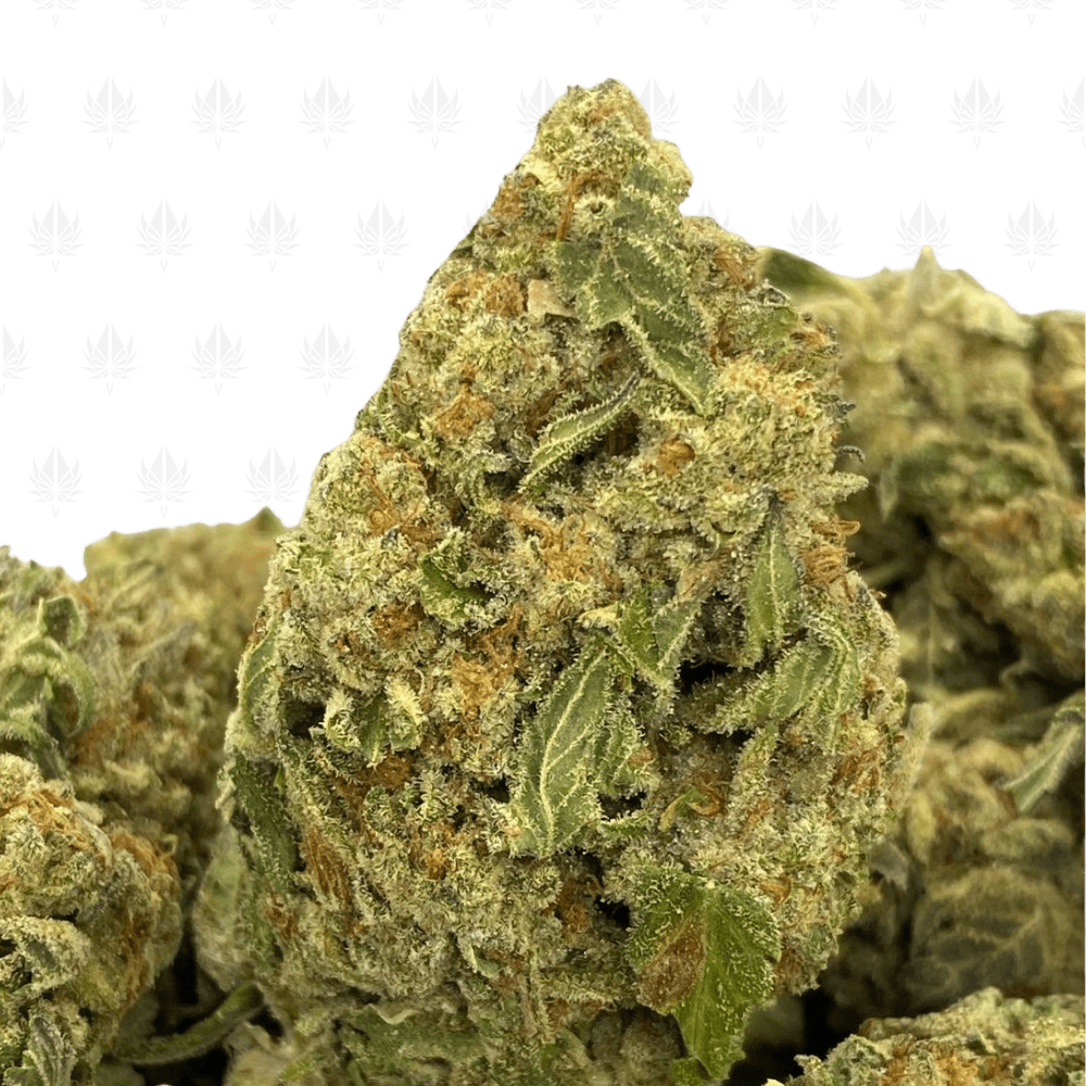 Lemon Mintz - Lows1 Lemon Mintz - Lows