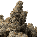 London Pound Cake (3)