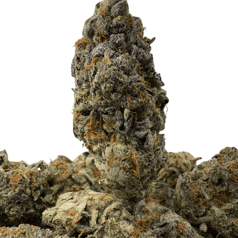 Rich Berry (2) Rich Berry (2)