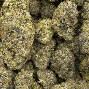 Rockstar Spacemen (2)