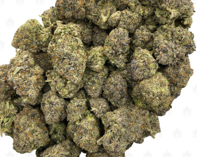 Rockstar Spacemen (3)