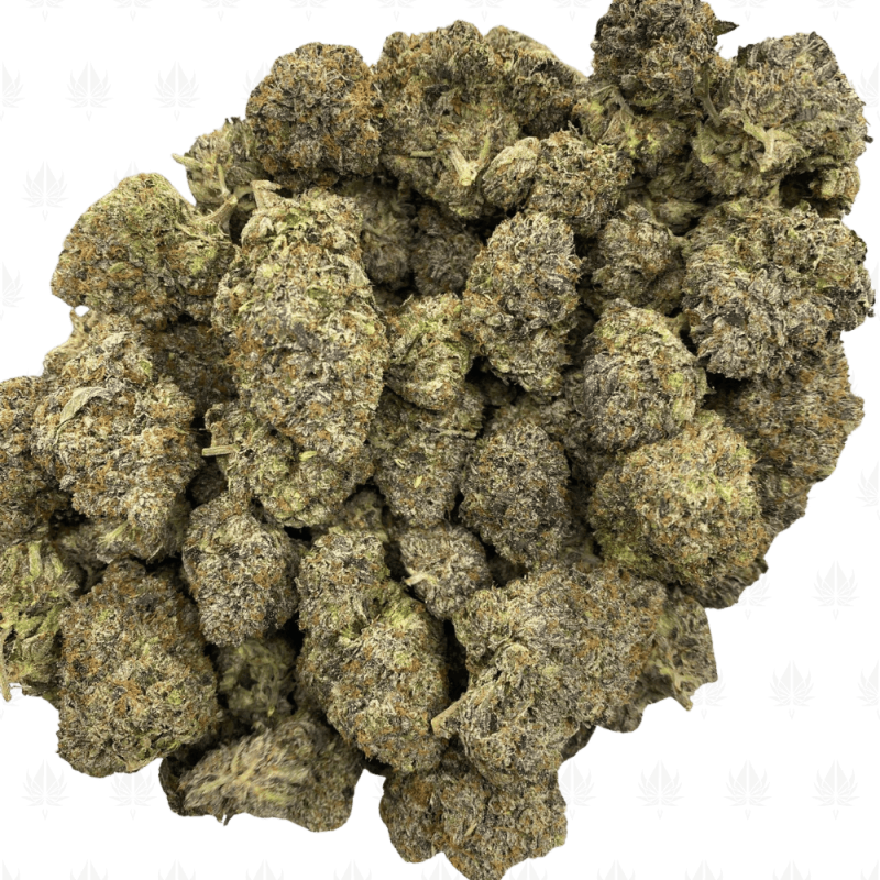 Rockstar Spacemen (3)