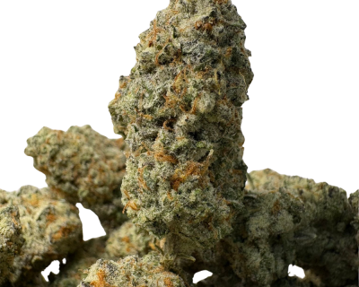 Wizard Fritter LSO (2)