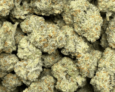 Wizard Fritter LSO (3)