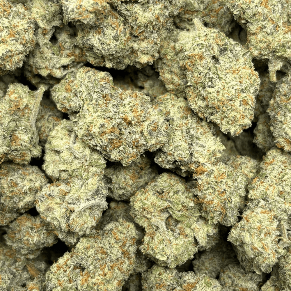 Wizard Fritter LSO (3)