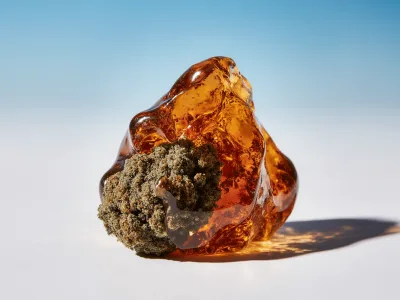 Live Resin