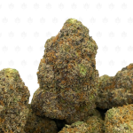 6320 Cotton Candy Runtz (2)