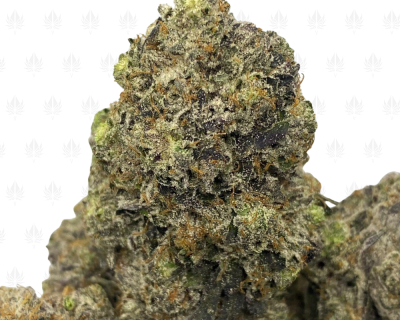 6323 Pink Rocket Fuel (2)