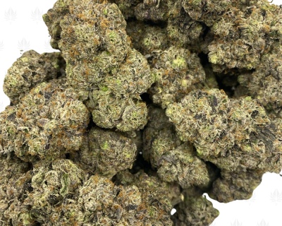 6323 Pink Rocket Fuel