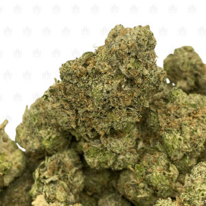 6324 Outlaw Bubba (2)