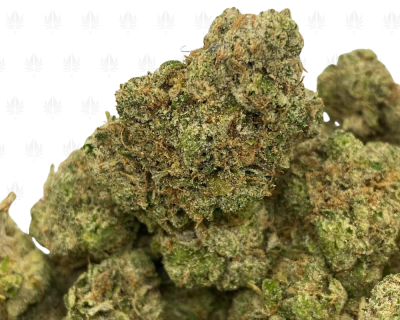 6324 Outlaw Bubba (2)