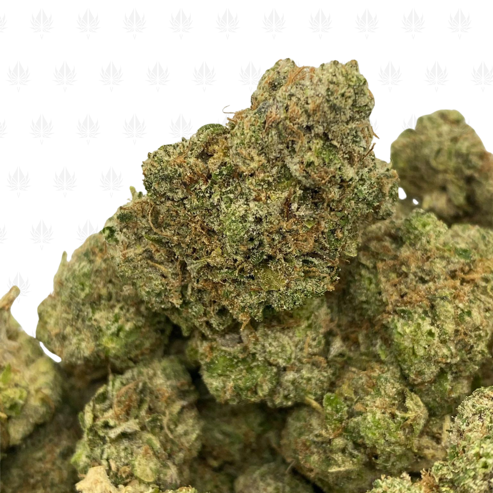 6324 Outlaw Bubba (2)