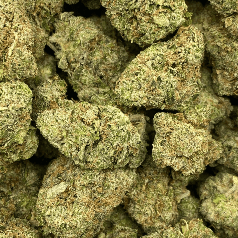 6324 Outlaw Bubba (3)