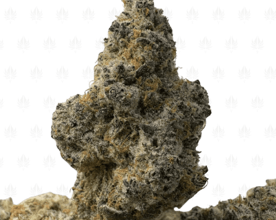 Alaskan Thunder Fuck-B