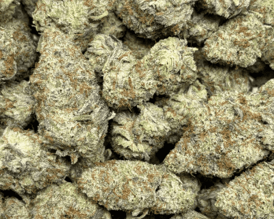 Blackberry Gelato (2)