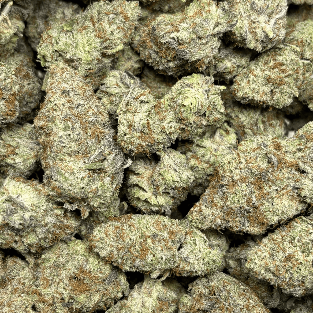 Blackberry Gelato (2)