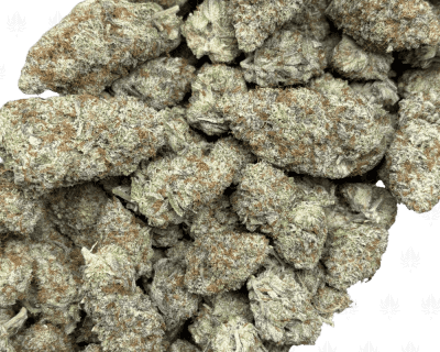 Blackberry Gelato (3)