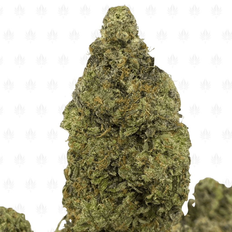 Cosmic Pink (3) Cosmic Pink (3)