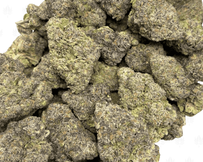 Detroit Sherbet-B (2)