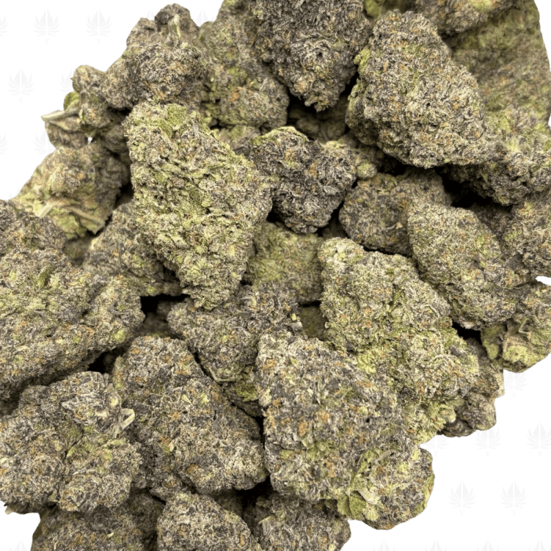 Detroit Sherbet-B (2)