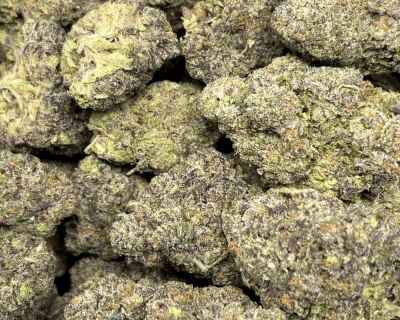 Detroit Sherbet-B (3)