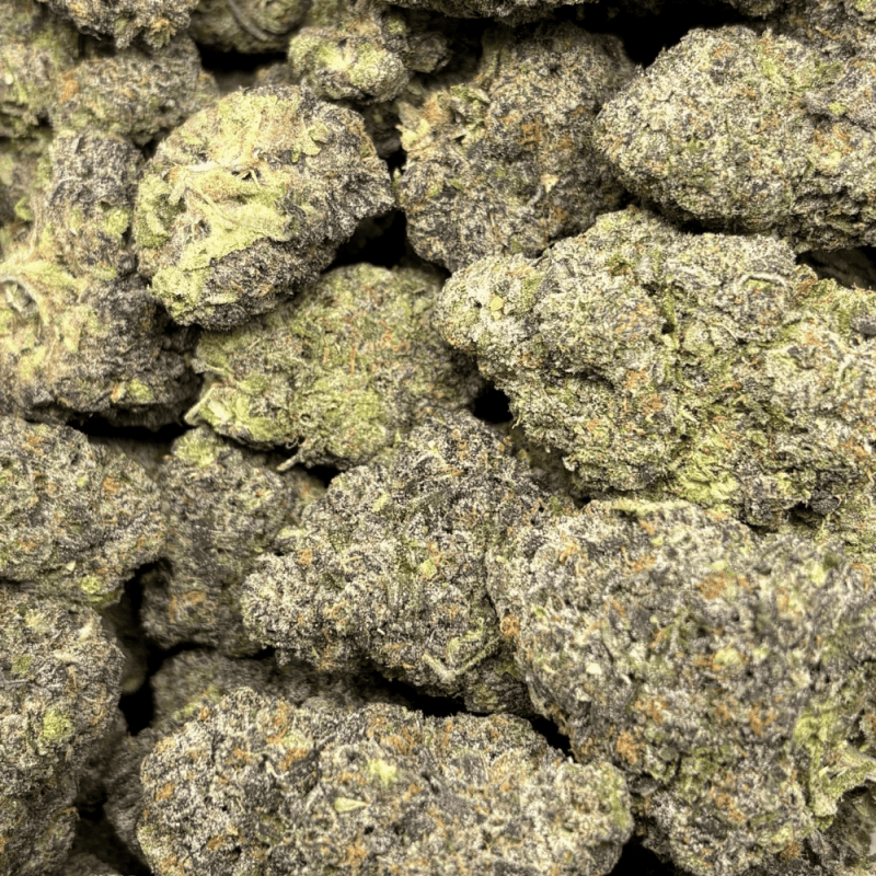 Detroit Sherbet-B (3)