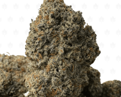 Double Stuffed Oreoz