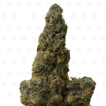 Frosted Animal Cookies (2)