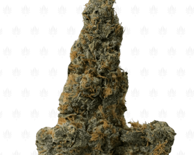 Frosted Animal Cookies (2)