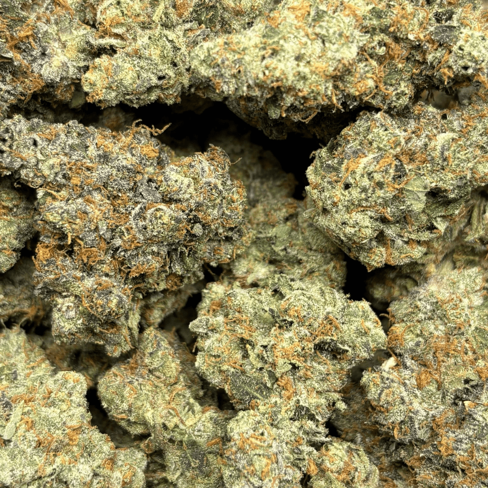 Frosted Animal Cookies (3)