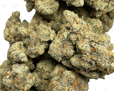 Frosted Animal Cookies