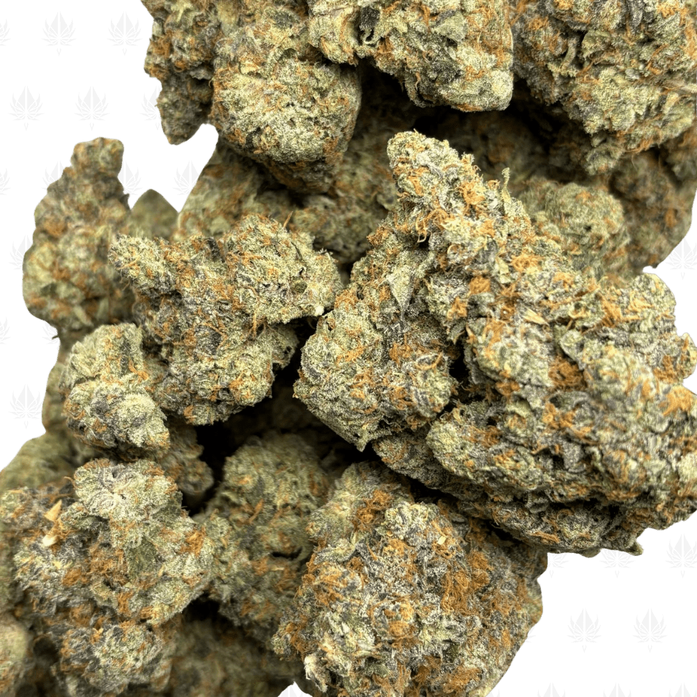 Frosted Animal Cookies