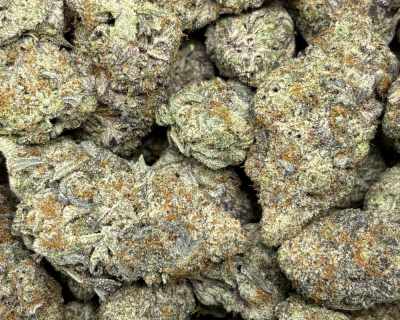 High Country Diesel-B (2)